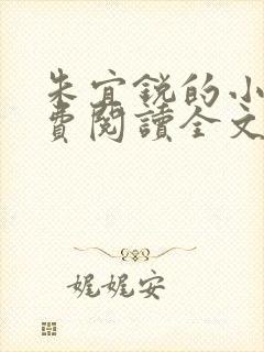 朱宜锐的小说免费阅读全文