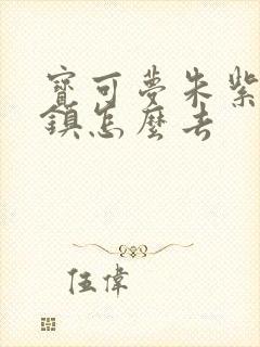 宝可梦朱紫固培镇怎么去