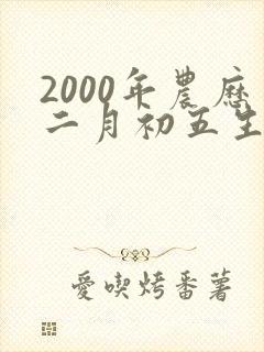 2000年农历二月初五生辰八字