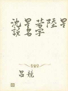 沈星若陆星延小说名字
