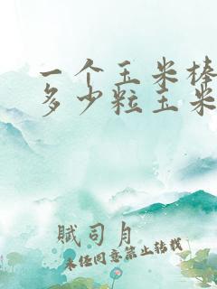 一个玉米棒子有多少粒玉米