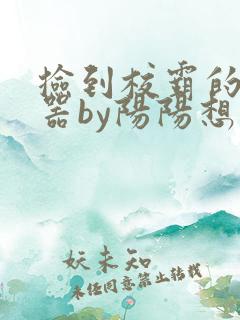 捡到校霸的遥控器by阳阳想要日