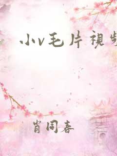 小v毛片视频