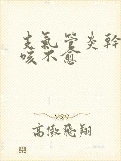 支气管炎干咳久咳不愈