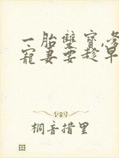 一胎双宝,爹地宠妻要趁早
