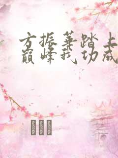 方振华踏上权力巅峰我功成名就全文阅读小