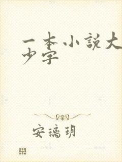 一本小说大概多少字