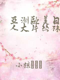 亚洲欧美日韩成人大片丝袜