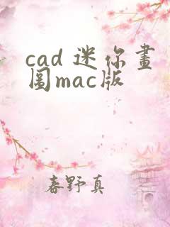 cad 迷你画图mac版