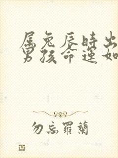 属兔辰时出生的男孩命运如何