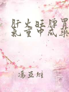 肝火旺脾胃虚湿气重中成药
