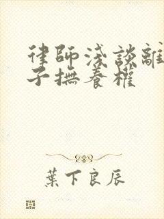 律师浅谈离婚孩子抚养权