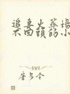 追妻火葬场女主不回头的小说