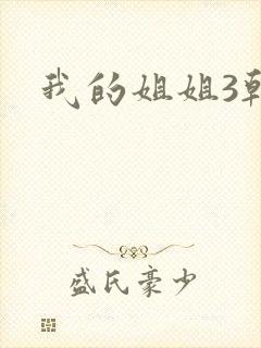 我的姐姐3韩剧