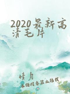 2020最新高清毛片