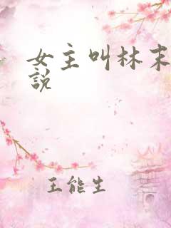 女主叫林末的小说