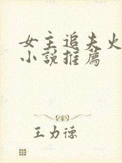 女主追夫火葬场小说推荐