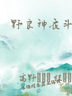 野良神夜斗图片