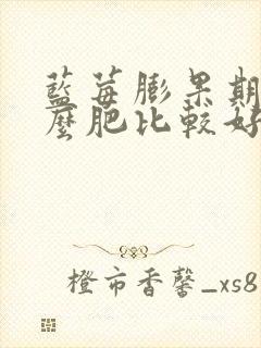 蓝莓膨果期施什么肥比较好