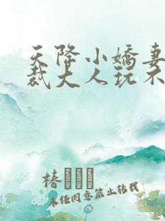 天降小娇妻,总裁大人玩不起