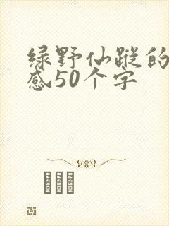 绿野仙踪的读后感50个字
