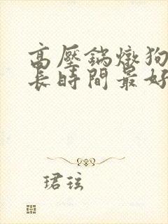 高压锅炖狗肉多长时间最好