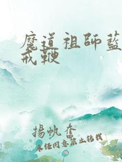 魔道祖师蓝忘机戒鞭
