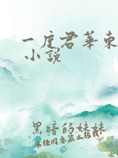 一度君华东风恶 小说