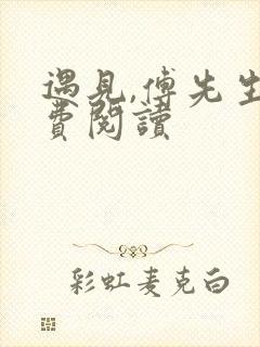 遇见,傅先生免费阅读