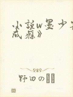 小说w墨少宠妻成瘾》
