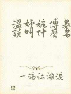 温妤婉傅晏珩小说叫什么名字