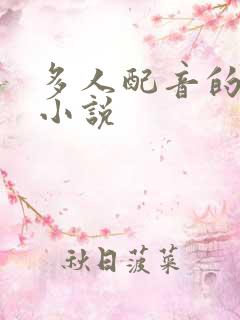 多人配音的有声小说