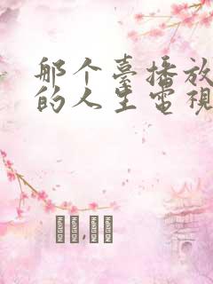那个台播放蛮好的人生电视剧