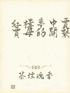 红楼梦中贾敬和贾母的关系