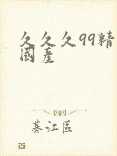 久久久99精品国产