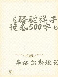 《骆驼祥子》读后感500字以上