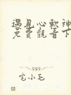 遇见心软神短剧免费观看下载