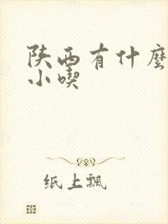 陕西有什么特产小吃