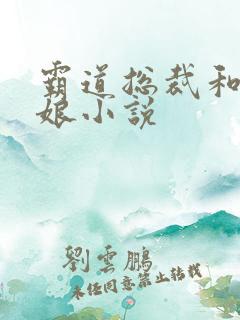 霸道总裁和灰姑娘小说