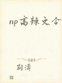 np高辣文合集