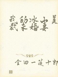 我的冰山美女总裁未婚妻