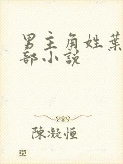 男主角姓叶的全部小说