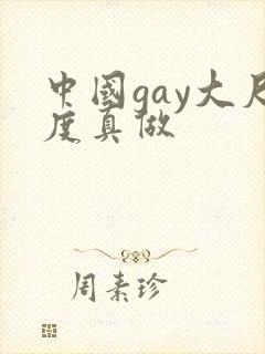 中国gay大尺度真做