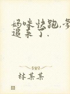 妈咪快跑,爹地追来了.