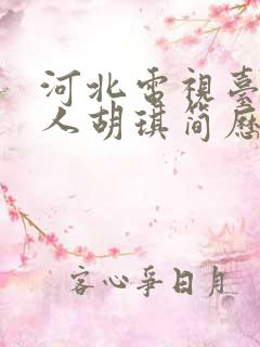 河北电视台主持人胡琪简历
