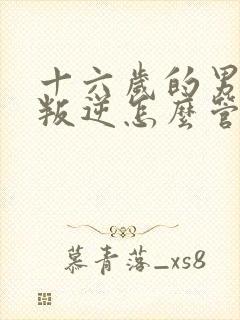 十六岁的男孩子叛逆怎么管教