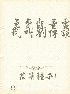 免费观看电视剧我叫刘传说