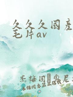 久久久国产精品毛片av