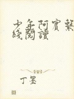少年阿宾系列在线阅读