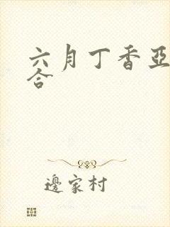 六月丁香亚洲综合